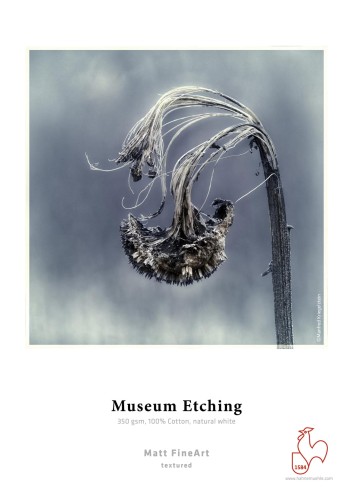 Przejdź do produktu Papier fotograficzny Hahnemühle FineArt Museum Etching (350 gsm) Natural White