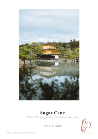 32-Sugar_Cane.jpeg