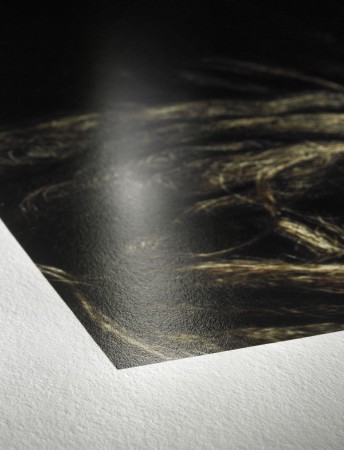 Hahnemuehle_Detail_Photo_Rag_Baryta.jpg