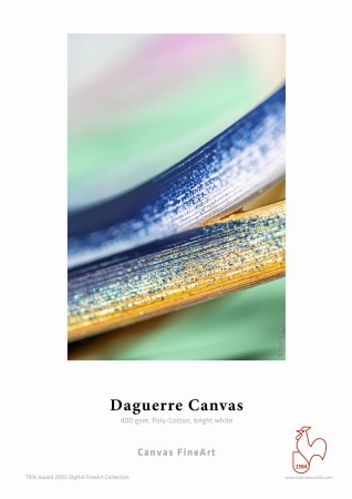 30-Daguerre_Canvas_Kopie.jpg