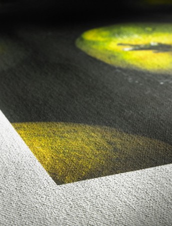 Hahnemuehle_Detail_Canvas_Artist.jpg