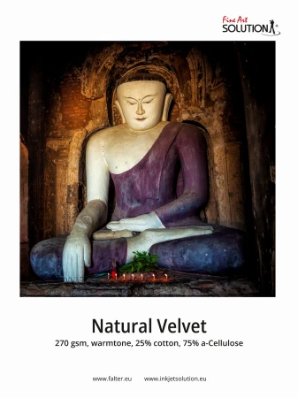 Natural Velvet 270.jpg