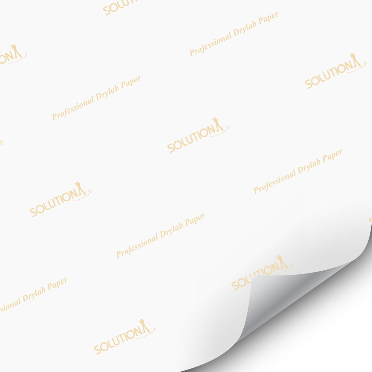 back-print.jpg